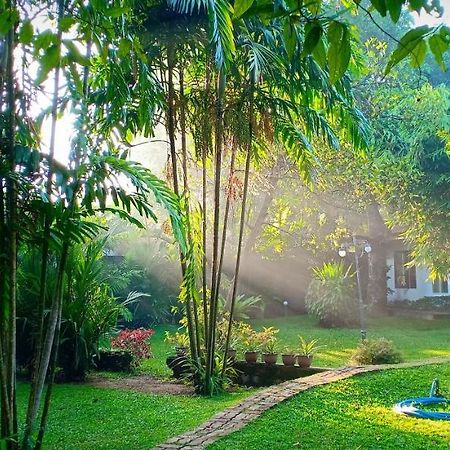 Mango House Japanese Guest House Негомбо Екстер'єр фото