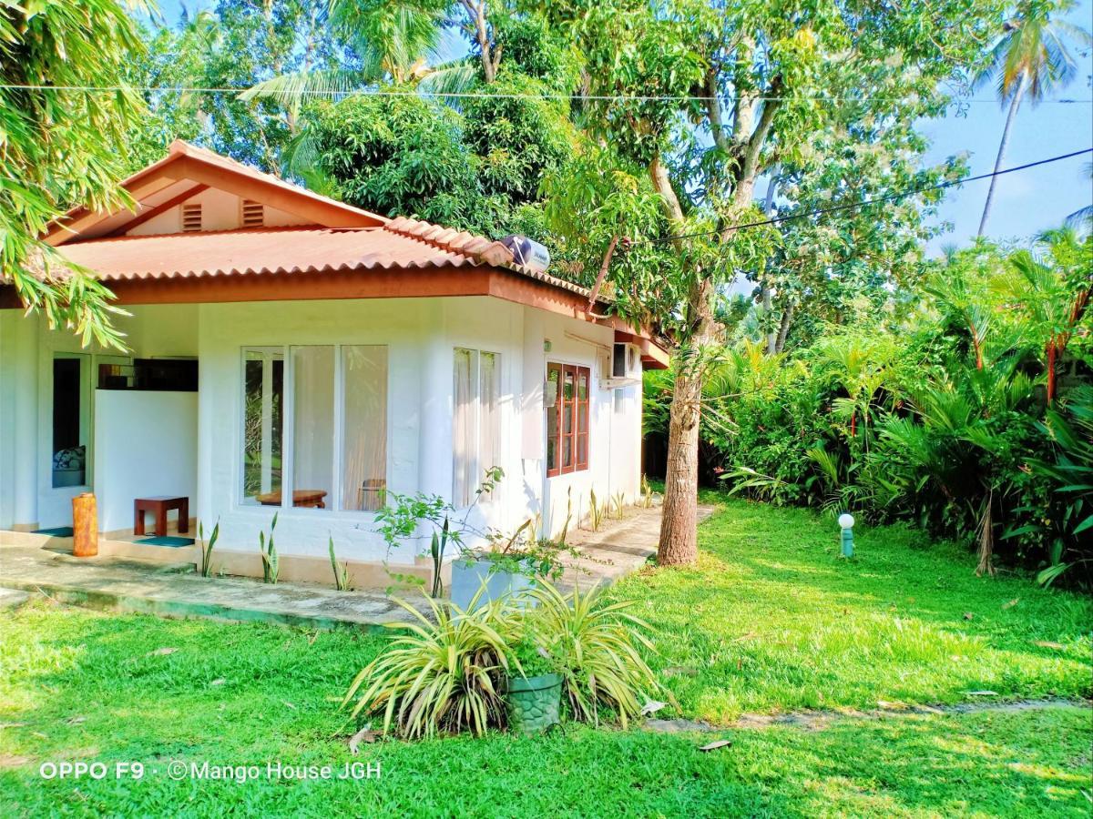 Mango House Japanese Guest House Негомбо Екстер'єр фото