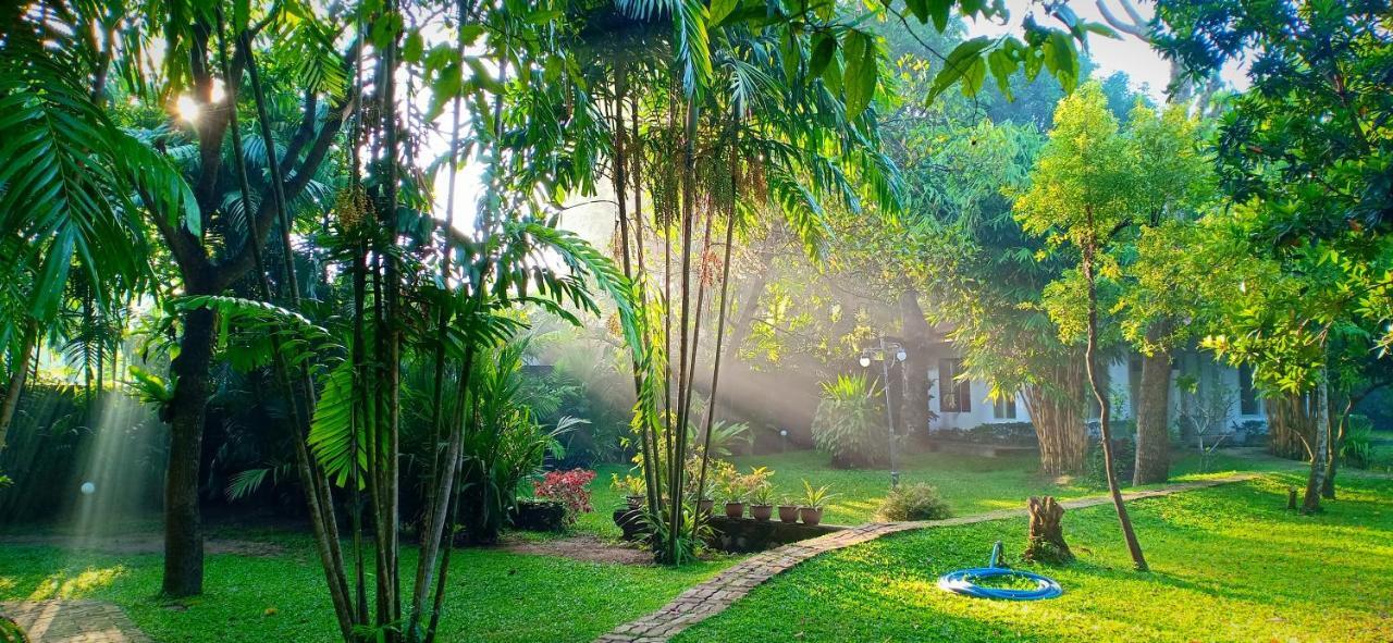 Mango House Japanese Guest House Негомбо Екстер'єр фото