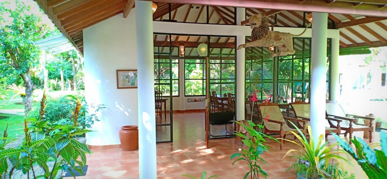 Mango House Japanese Guest House Негомбо Екстер'єр фото