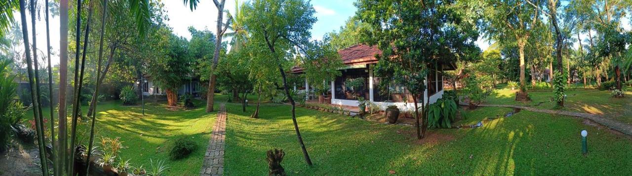 Mango House Japanese Guest House Негомбо Екстер'єр фото